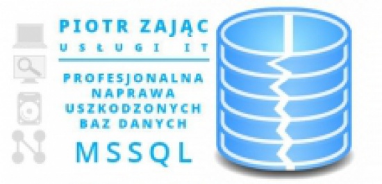 Pomoc informatyczna online, program Płatnik, SQL, bazy